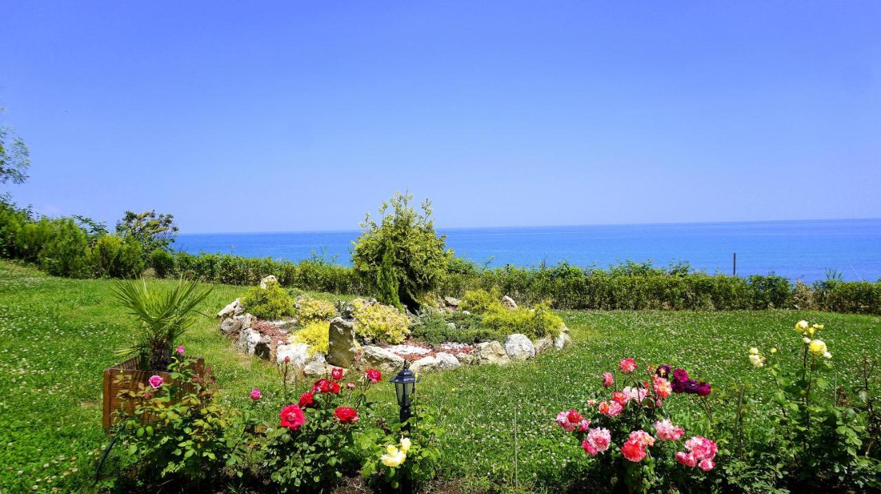 Бяла Клиф Форест - Byala Cliff Forest Exteriör bild